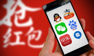 白条分期是什么意思 白条分期的解释