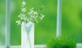 什么是心灵寄语 心灵寄语意思