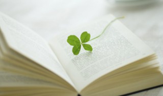 什么是上行文下行文平行文 关于上行文下行文平行文的解释