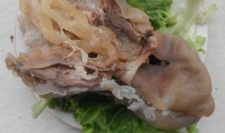 牛脚蹄的做法 怎么做牛蹄