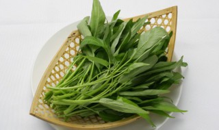 空心菜凉拌的简单做法 怎么做凉拌空心菜