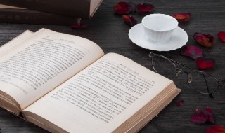 非科班什么意思 非科班解释