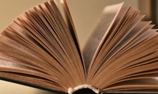 调和剂是什么意思 调和剂的概念