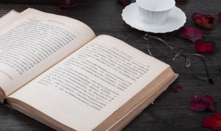 什么是第一极体 第一极体介绍