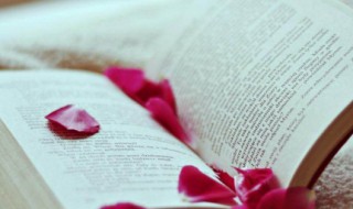 绝句的诗意是什么 杜甫的绝句诗意是什么