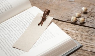 独领风搔是什么意思 独领风搔的解释