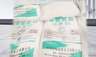 碳酸氢钠为什么是盐 为什么碳酸氢钠是盐