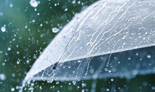 江南春雨杏花写一句话 用江南春雨杏花写句子