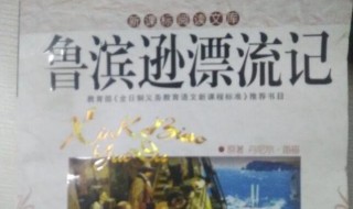 鲁滨逊漂流记的内容简介 鲁滨逊漂流记的内容介绍