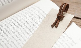 冷月公主什么意思 冷月公主的意思是什么