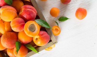 高蛋白水果有哪些水果 高蛋白水果介绍