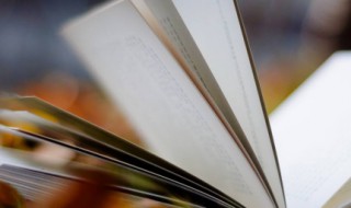 连声诺诺中的诺诺是什么意思 连声诺诺的解释