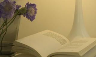 暗淡和黯淡意思分别是什么 暗淡和黯淡的含义