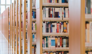 草树知春不久归这首诗是什么 草树知春不久归原文及翻译