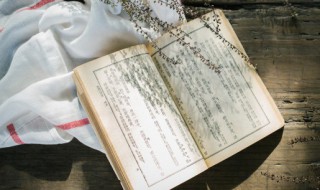 楚臣伤江枫下句是什么 楚臣伤江枫下原文介绍