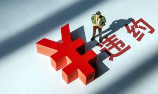 被担保债权什么意思 被担保债权的意思