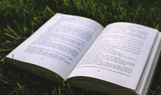 古时的门客是什么意思啊 古时的门客解释