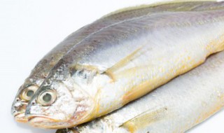 鱼鳃能吃吗 鱼鳃可以吃吗