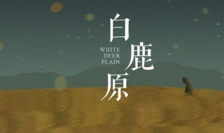 小说白鹿原故事梗概 白鹿原主要内容