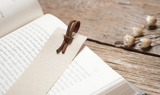 志不强者智不达言不信者行不果的意思是什么 志不强者智不达言不信者行不果的意思