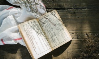 井井有条的意思和造句 井井有条解释和造句