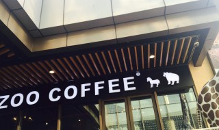 上海ZOO是什么梗 上海ZOO的意思