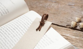 成教是什么意思 成教含义