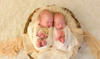 单绒双羊双胞胎成活率 单卵双胎单绒双羊存活率高不高