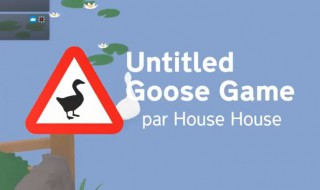 捣蛋鹅怎么下载 捣蛋鹅下载教程