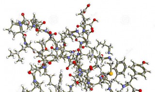 内啡肽和多巴胺的区别 详细说明