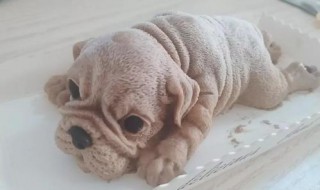 狗狗冰淇淋的做法 狗狗冰激凌如何做