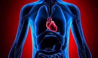 频发期前收缩有什么危害 频发期前收缩又叫房性早搏