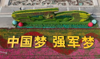 武汉军运会导演 武汉军运会总导演是谁