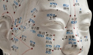 黄元御脉法详解 黄元御脉法诊视大法