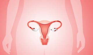 宫颈折断意味着什么 子宫颈折断是什么意思