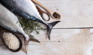 用什么钓黄尾最快 选择什么饵料好