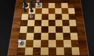 国际象棋的走法 详细解释