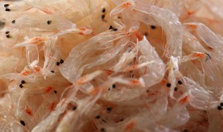 虾米和虾皮一样吗 教你如何挑选优质虾皮