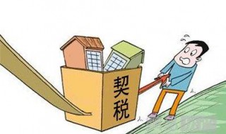 契税全国怎么查询交了没 什么法则