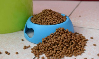 派得狗粮怎么样 大家可以了解一下
