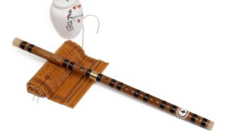 顺笛的指法和葫芦丝有什么不同 详细异同