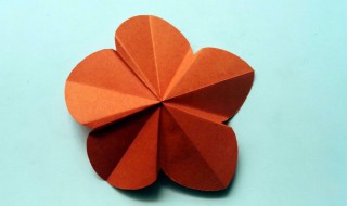 用卡纸做装饰的做法 卡纸的小花装饰教程