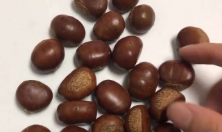 生板栗怎么吃牙齿不变黑 板栗有什么危害