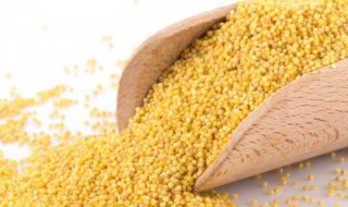 大米和小米哪个更有营养 这样比较就知道了