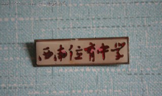 西南位育初中好进吗 有什么要求