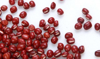 怎样煮红豆馅 做法分享给大家