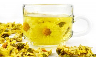 玫瑰菊花茶功效与禁忌 具体如下！