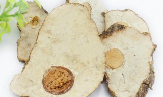 茯神木的功效与作用 大家可以了解一下