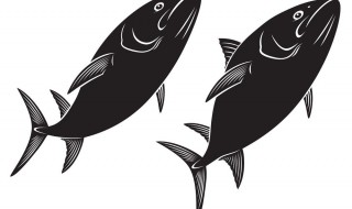 梦见坑里面好多黑色的鱼死了 这6个方面来分析一下