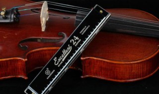 16孔复音口琴和24孔的区别 你都学会了吗